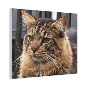 Custom Cat Portrait Canvas – Personalized Pet Wall Art for Cat Lovers & Home Decor