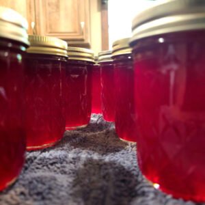 Southern Muscadine Jelly – Small Batch, Farm Fresh